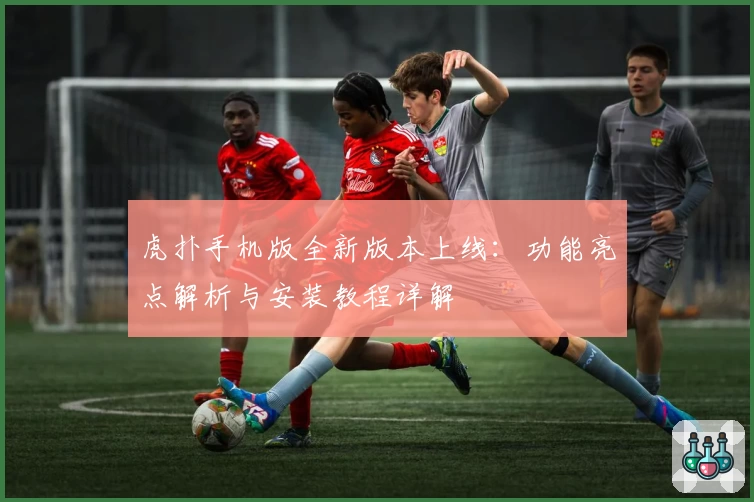 虎扑手机版全新版本上线：功能亮点解析与安装教程详解